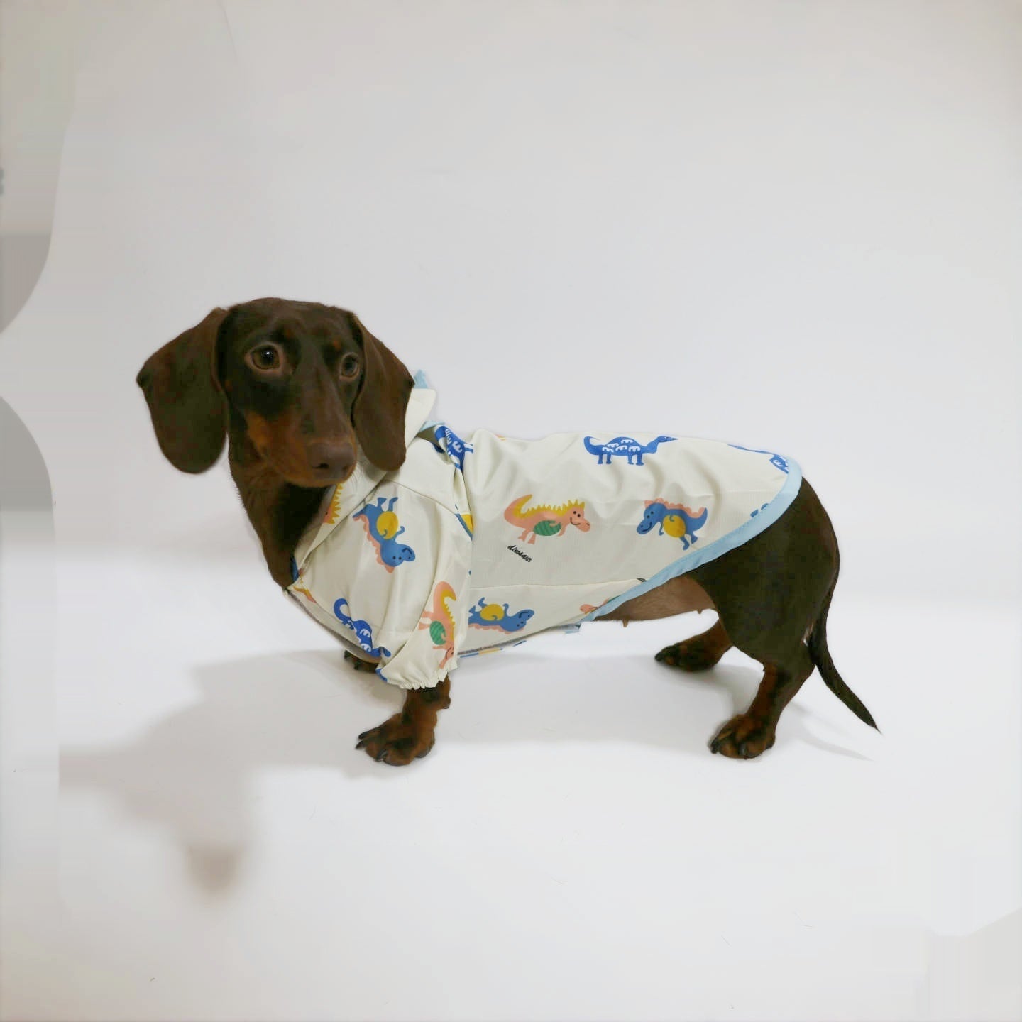 KFX-7033405 Dinosaur Design Splash-Proof Pet Raincoat for Spring and Summer, Multiple Sizes Available
