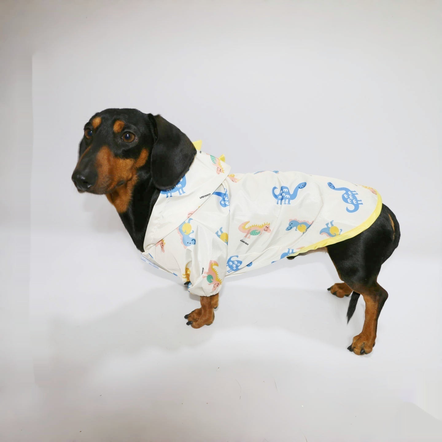 KFX-7033405 Dinosaur Design Splash-Proof Pet Raincoat for Spring and Summer, Multiple Sizes Available
