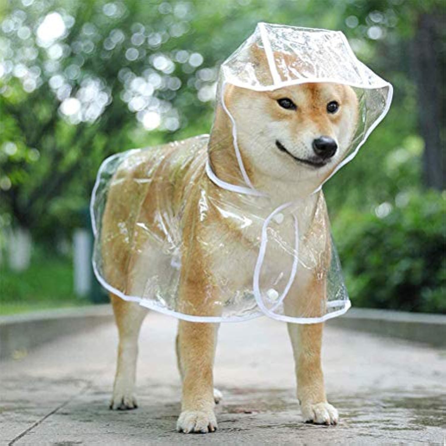 KFX-7034301 Transparent Waterproof Raincoat for Small to Medium Dogs with Hood - Lightweight EVA Fabric in Multiple Colors