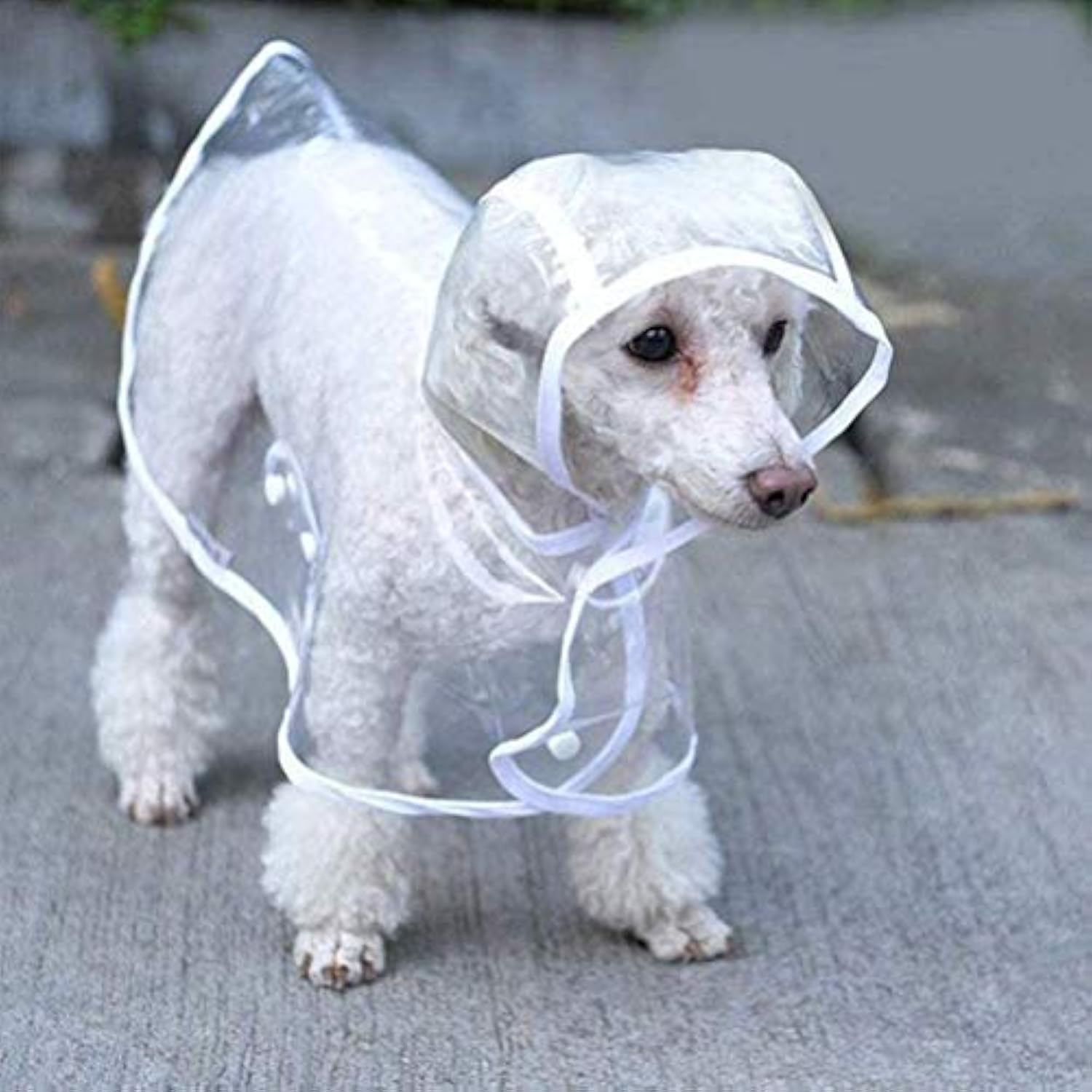 KFX-7034301 Transparent Waterproof Raincoat for Small to Medium Dogs with Hood - Lightweight EVA Fabric in Multiple Colors