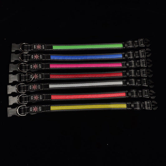 KFX-7034429 Telescopic USB Rechargeable Portable Pet Collar in Multiple Colors and Sizes