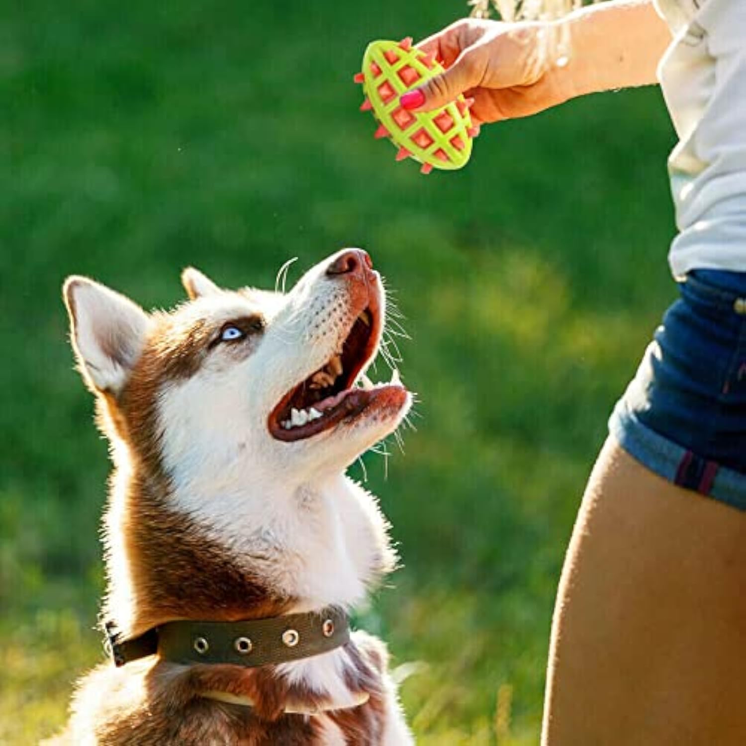 KFX-7036093 Indestructible Dog Teether Ball with Dental Cleaning Texture for Interactive Play