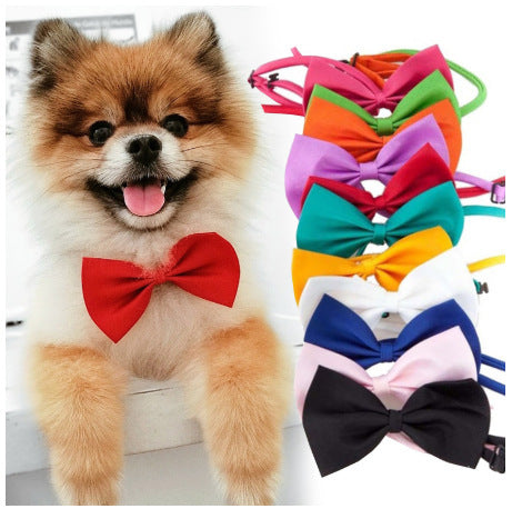 KFX-7042621 Colorful Bow Tie Pet Lead for Cats and Dogs, Warm Cloth Accessory with Floral Design, 51cm Length