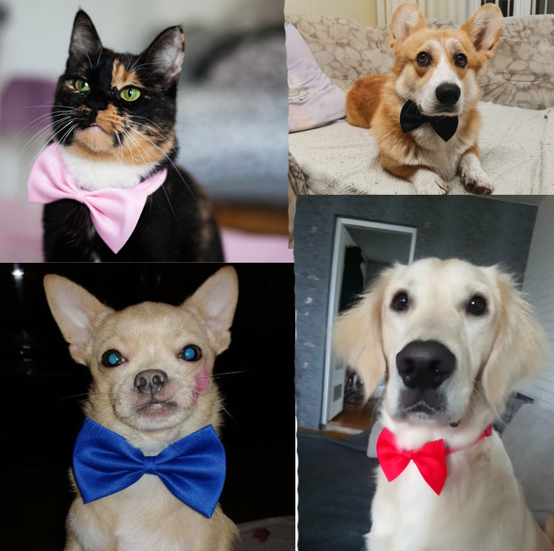 KFX-7042621 Colorful Bow Tie Pet Lead for Cats and Dogs, Warm Cloth Accessory with Floral Design, 51cm Length