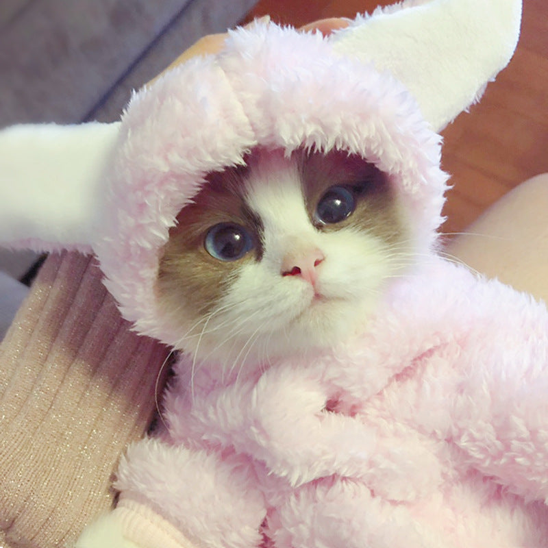 KFX-7044541 Adorable Cotton Cat Clothes for Kittens – Cute Pink Rabbit, Brown Bear, Tsundere Mini, Angel Wings Styles