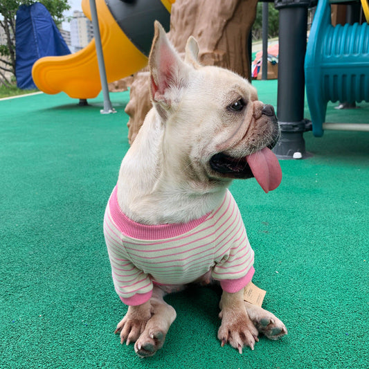 KFX-7046717 Striped Cotton T-Shirt for Small Dogs and Cats in Casual Style, Available in Various Colors and Sizes