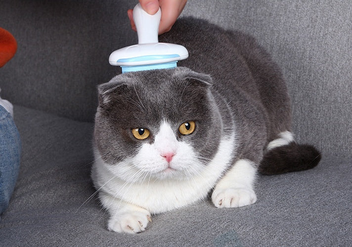 KFX-7051709 Stainless Steel Multifunctional Pet Comb for Effective Fur Care