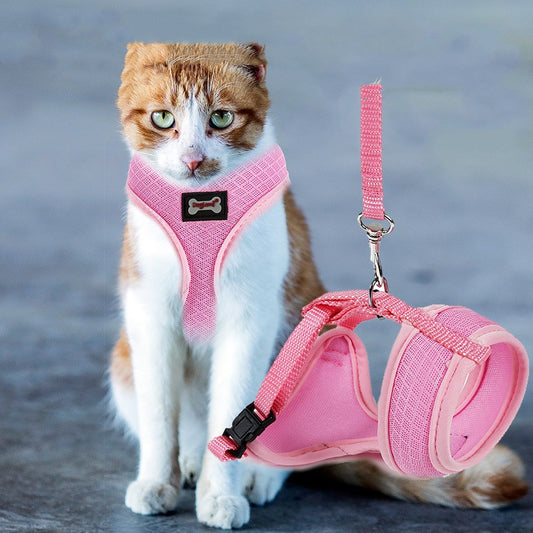KFX-7055165 Comfortable Anti-Skid Cat Harness with Mesh Design and Leash