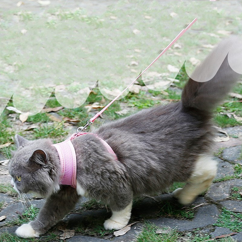 KFX-7055165 Comfortable Anti-Skid Cat Harness with Mesh Design and Leash