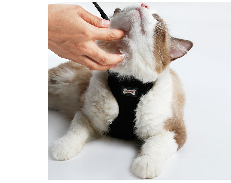 KFX-7055165 Comfortable Anti-Skid Cat Harness with Mesh Design and Leash