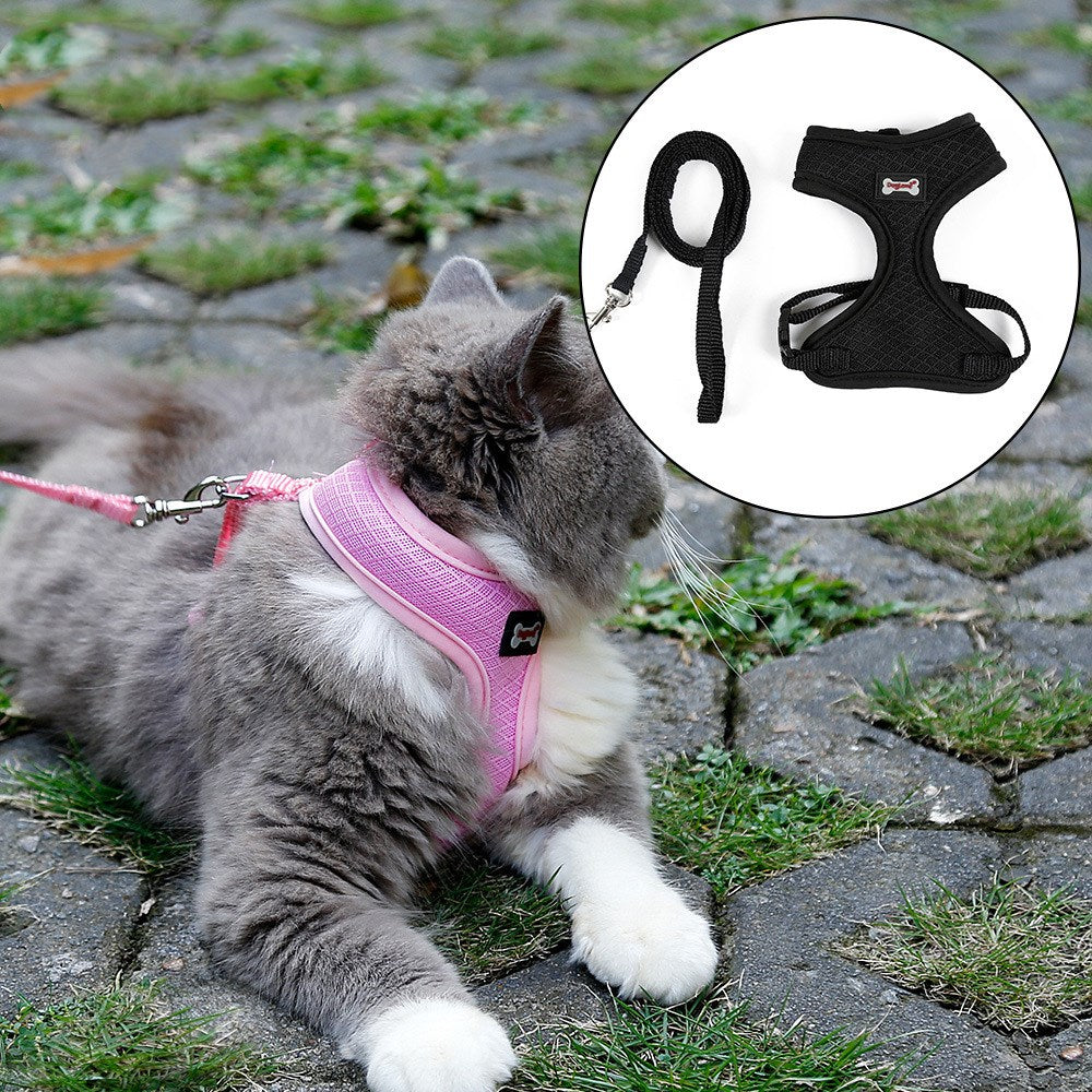 KFX-7055165 Comfortable Anti-Skid Cat Harness with Mesh Design and Leash