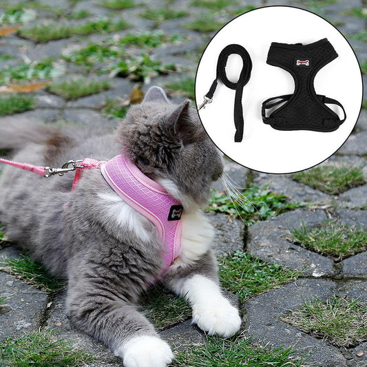 KFX-7055165 Comfortable Anti-Skid Cat Harness with Mesh Design and Leash
