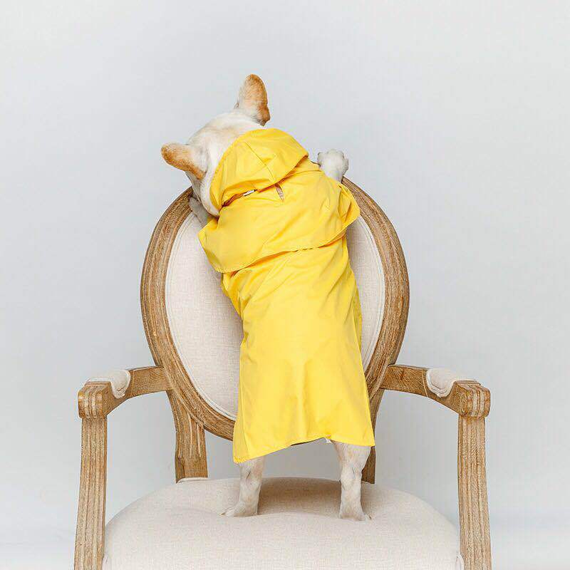 KFX-7065789 Waterproof PVC Pet Raincoat for All Sizes and Genders