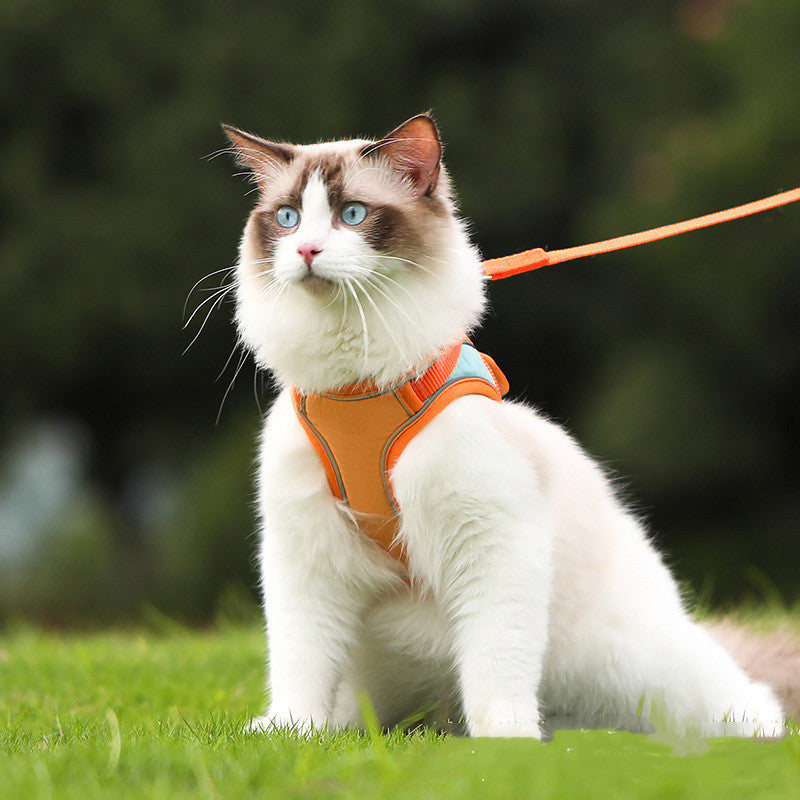 KFX-7066685 Reflective Anti-Escape Cat Harness with Leash - Suede Material, Various Colors, Sizes S to L