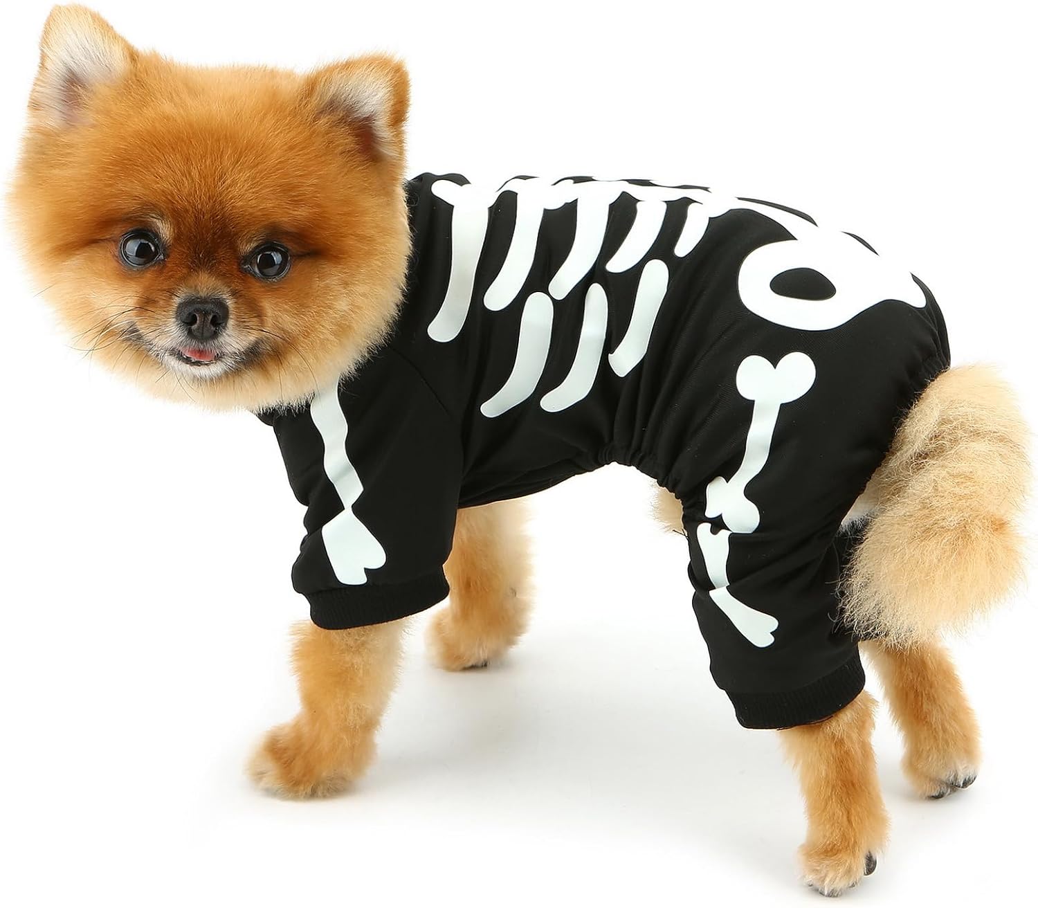 KFX-7067069 Glow in the Dark Skeleton Dog Costume for Small Dogs - Breathable Stretchy Jumpsuit for Halloween and Cosplay
