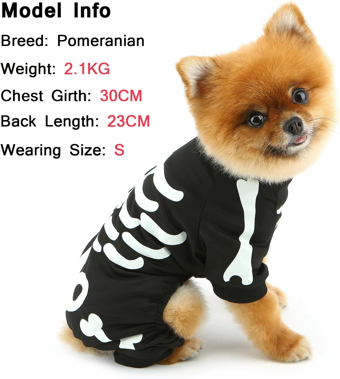 KFX-7067069 Glow in the Dark Skeleton Dog Costume for Small Dogs - Breathable Stretchy Jumpsuit for Halloween and Cosplay