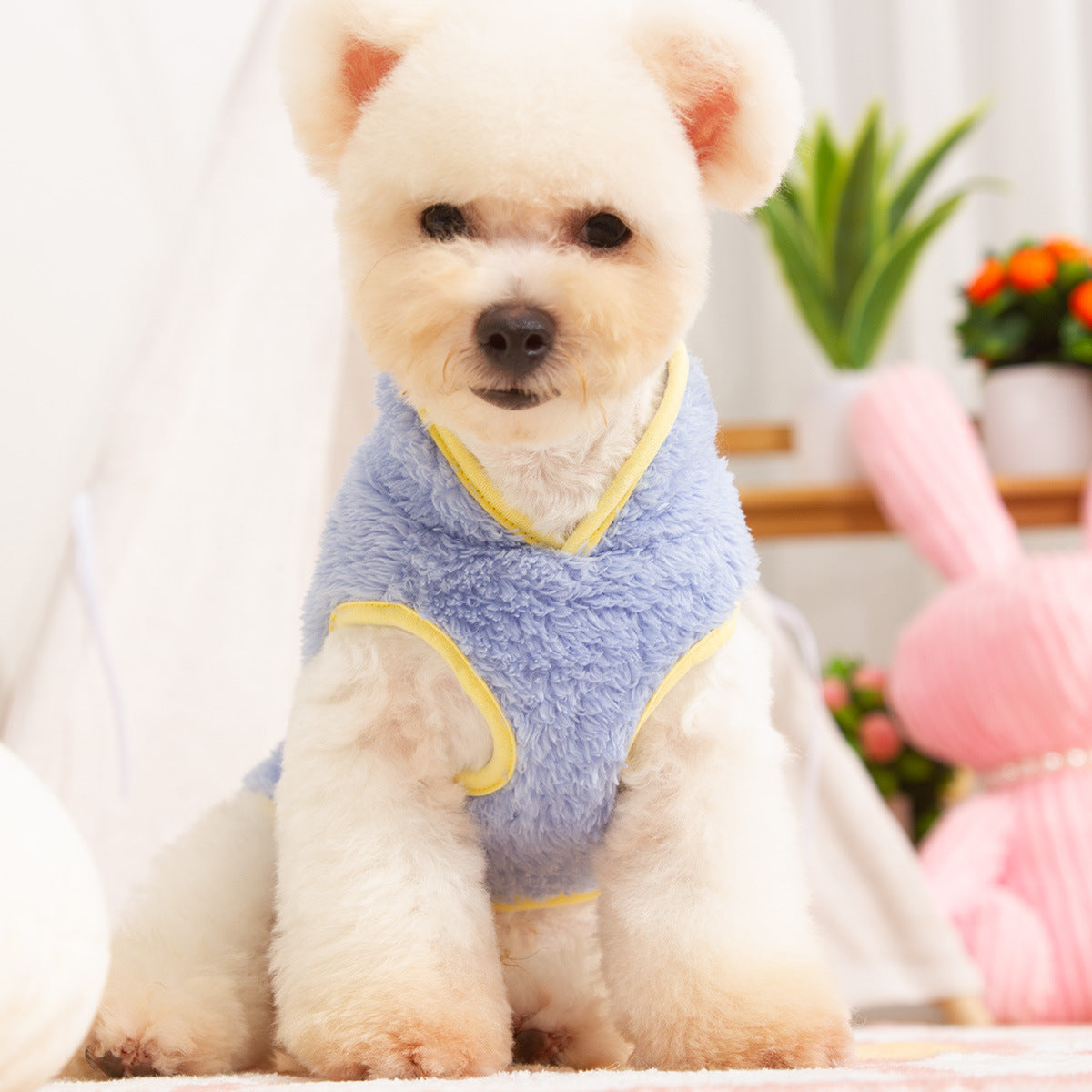 KFX-7071933 Double-sided Plush Dog Clothes in Pink, Purple, Blue, and Khaki - Comfortable Cotton Velvet, Sizes S to 2XL