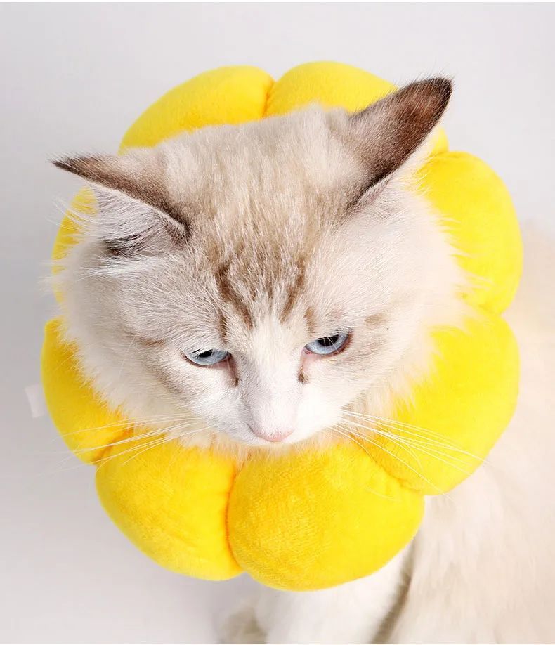 KFX-7075133 Comfortable Cotton Neck Collar for Cats and Dogs - Anti-Licking and Bite Protection, Adjustable Fit for Recovery