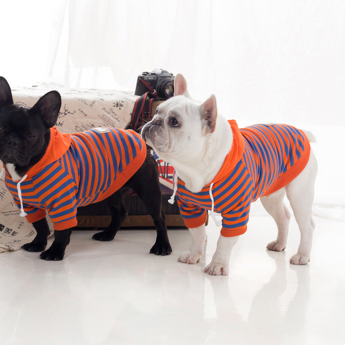 KFX-7078205 Cozy Orange Fleece Hooded Sweatshirt for Dogs - Ideal for Autumn and Winter