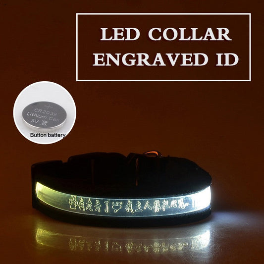 KFX-7090493 Radiant Dog Collar with Luminous Carved Lettering and Multiple Color Options