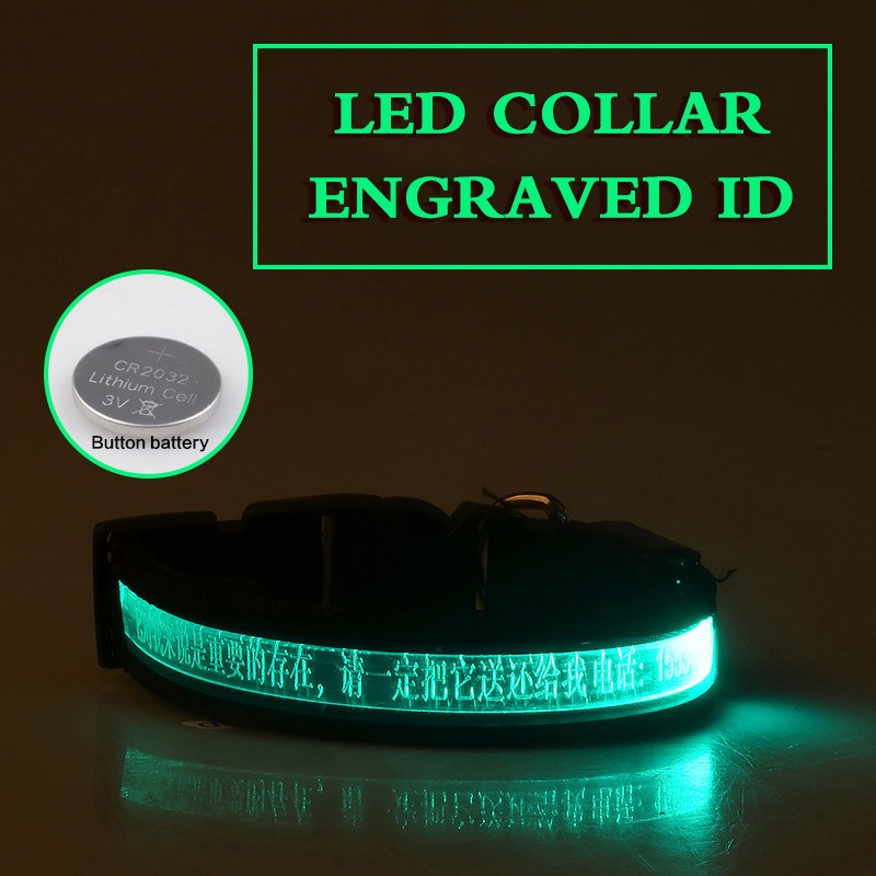 KFX-7090493 Radiant Dog Collar with Luminous Carved Lettering and Multiple Color Options