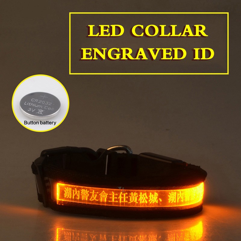 KFX-7090493 Radiant Dog Collar with Luminous Carved Lettering and Multiple Color Options