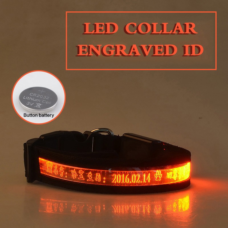 KFX-7090493 Radiant Dog Collar with Luminous Carved Lettering and Multiple Color Options
