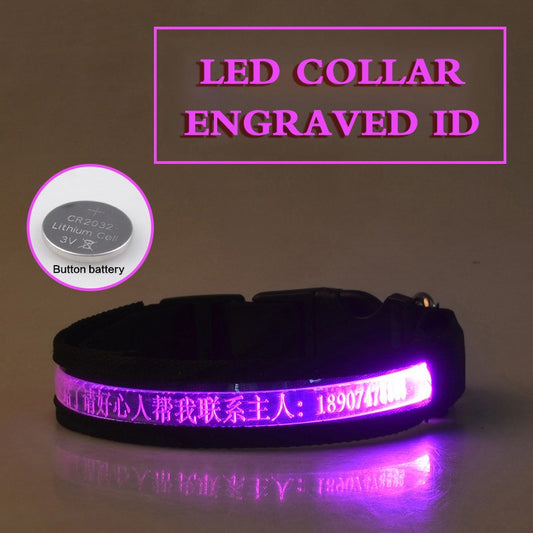 KFX-7090493 Radiant Dog Collar with Luminous Carved Lettering and Multiple Color Options