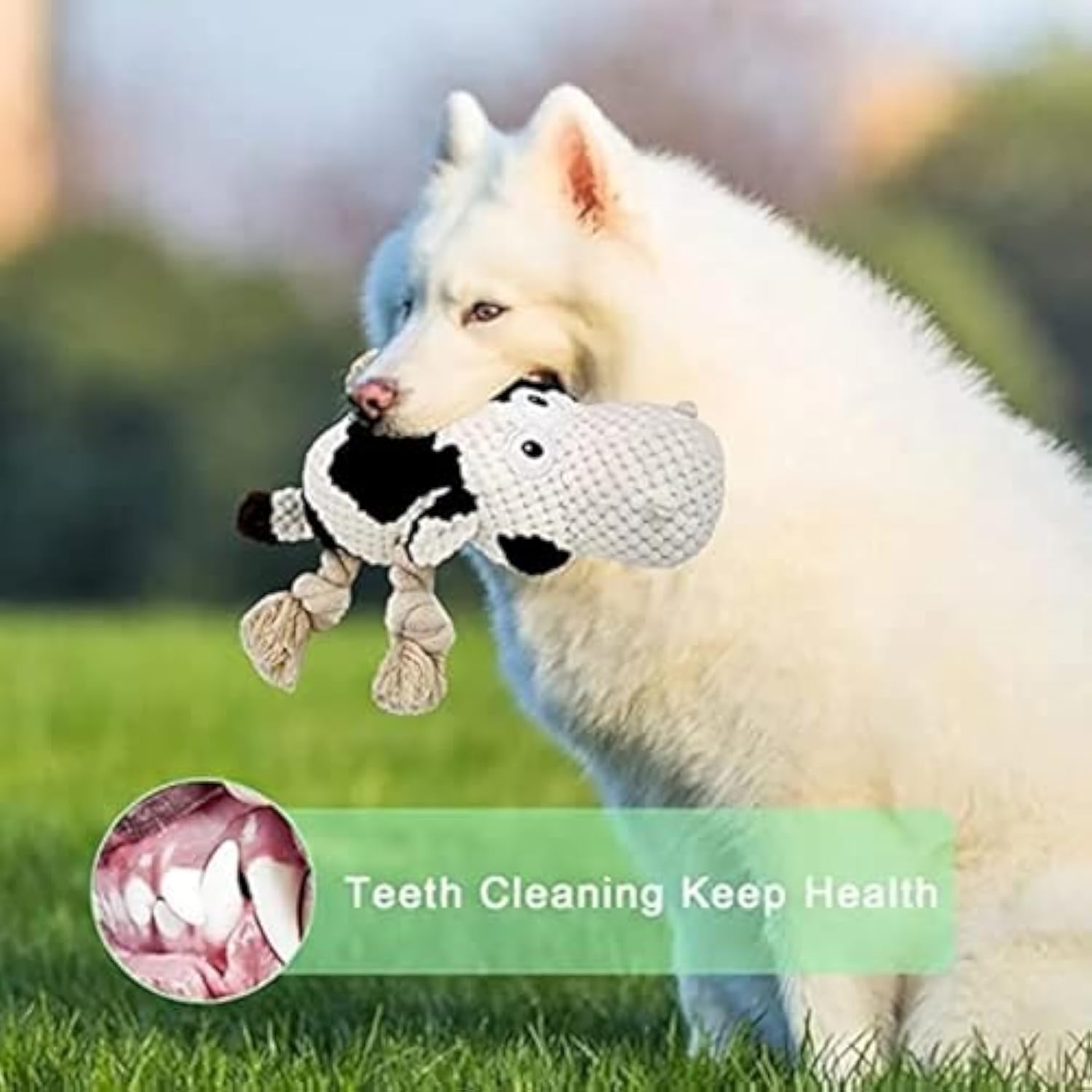 KFX-7091901 Durable Plush Dog Toy with Squeaker and Crinkle Ears, Chew Toy for Small, Medium, and Large Dogs