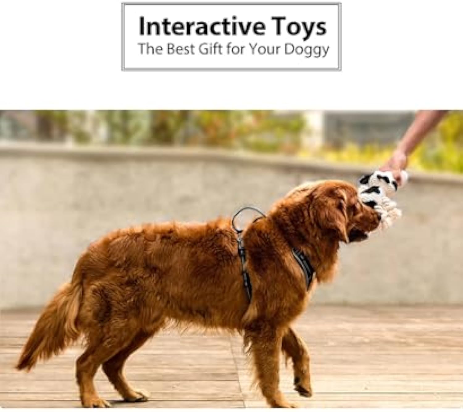 KFX-7091901 Durable Plush Dog Toy with Squeaker and Crinkle Ears, Chew Toy for Small, Medium, and Large Dogs