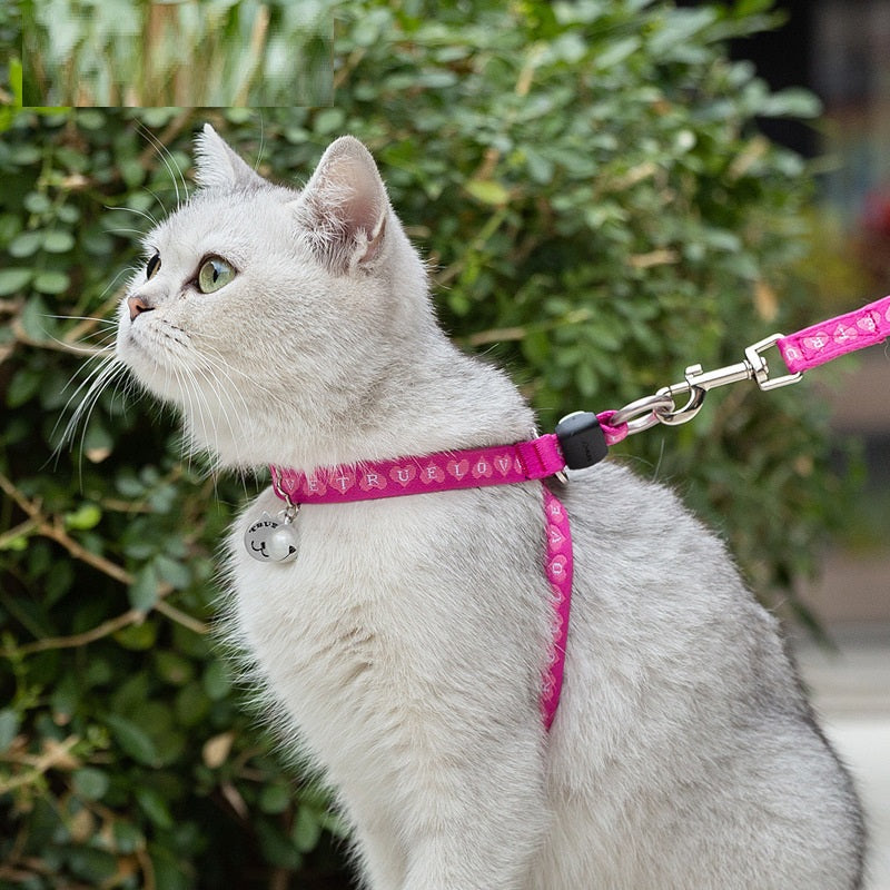 KFX-7095869 Adjustable Pet Chest Strap with Leash for Small Dogs and Cats in Various Colors
