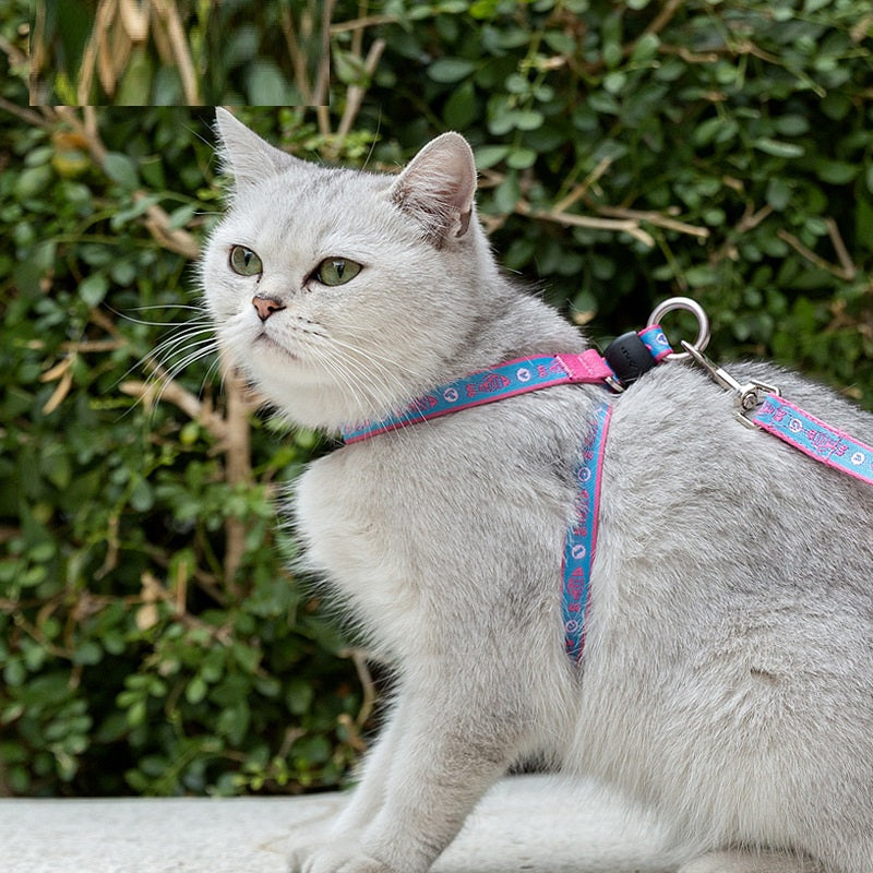 KFX-7095869 Adjustable Pet Chest Strap with Leash for Small Dogs and Cats in Various Colors
