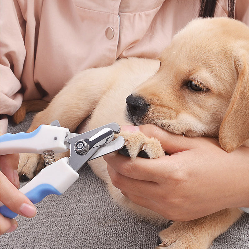 KFX-7098173 Pet Nail Clippers with Sharp Stainless Steel Blades and Comfort Grip Handle