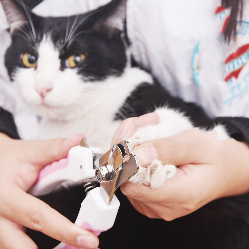 KFX-7098173 Pet Nail Clippers with Sharp Stainless Steel Blades and Comfort Grip Handle