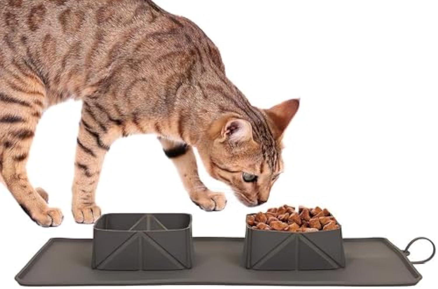KFX-7101629 Portable Collapsible Silicone Pet Bowls for Dogs and Cats - Lightweight Travel Feeding Dishes