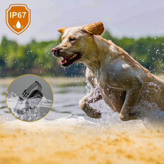 KFX-7102141 Intelligent Waterproof Dog Collar with Sound, Vibration, and Electric Shock Modes