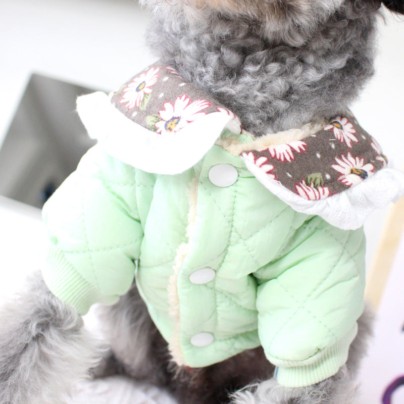 KFX-7104573 Cozy Winter Clothes for Small Dogs - Stylish Teddy Collar in Purple, Pink, Green