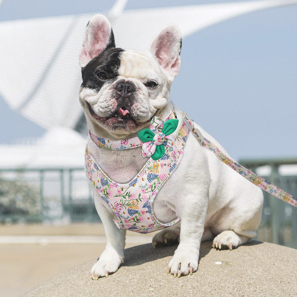 KFX-7106493 Adjustable Dog Traction Harness with Decorative Flowers – S/M/L Size Options