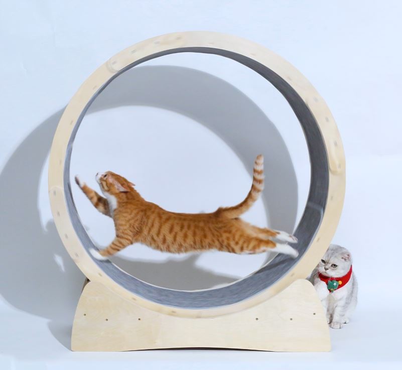 KFX-7114941 Cat Treadmill Roller - Solid Wood Running Toy with Safety Features and Quiet Design