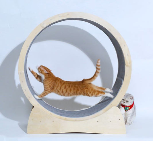 KFX-7114941 Cat Treadmill Roller - Solid Wood Running Toy with Safety Features and Quiet Design