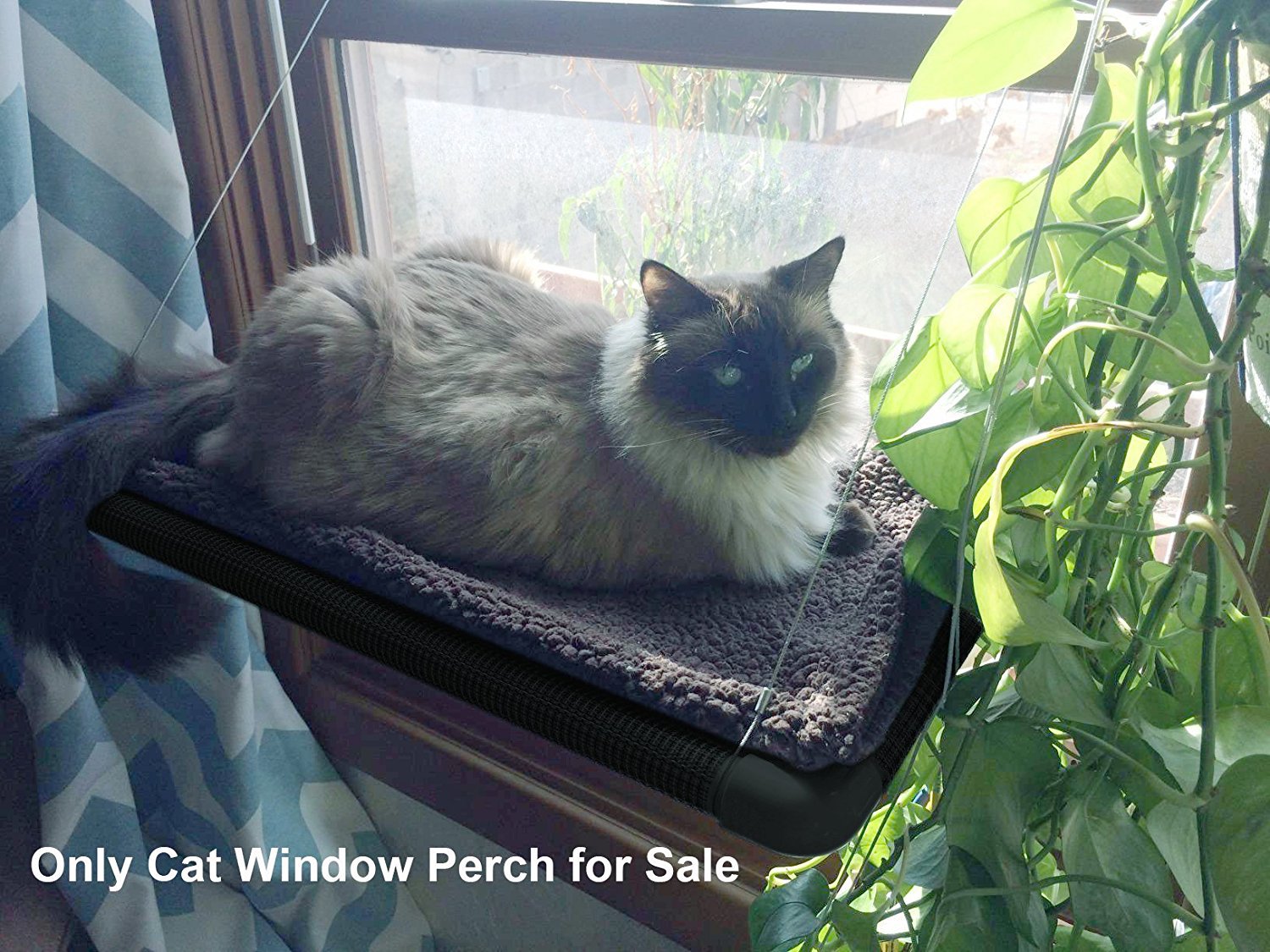KFX-7115325 Sturdy Window-Mounted Cat Hammock with Suction Cups for Sunbathing and Viewing