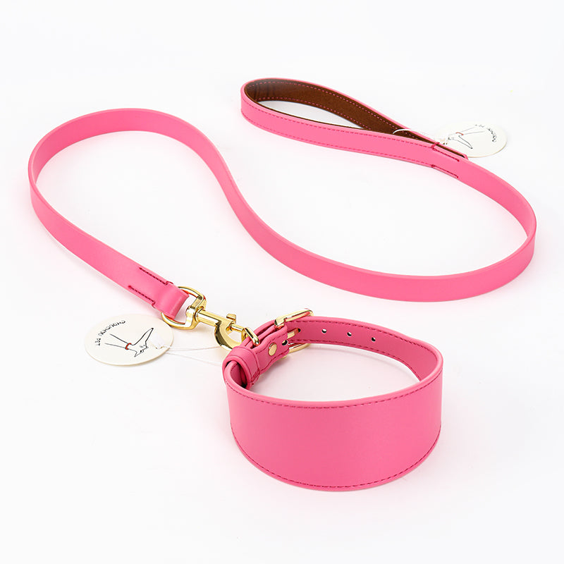 KFX-7115453 Soft Leather Pet Necklet and Towing Rope Set - Adjustable Collar in Gray and Pink