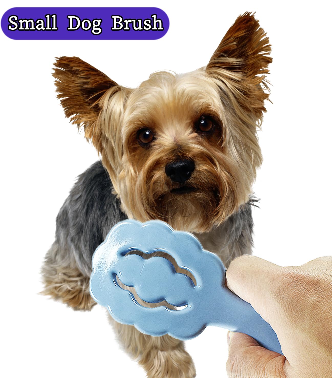 KFX-7117245 Cloud-Shaped Dog Grooming Brush for Small Breeds – Gentle, Multi-Functional with Massage and Bathing Features