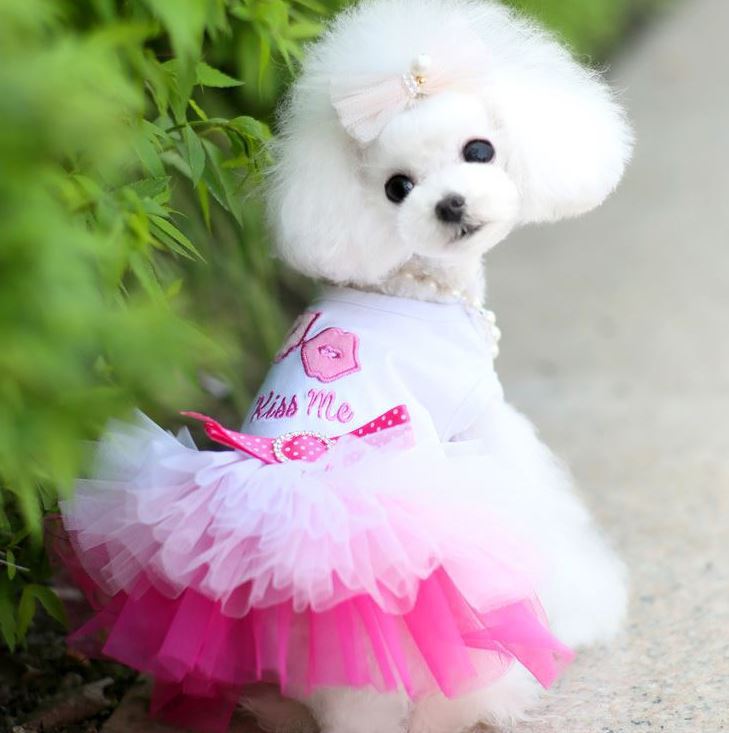 KFX-7119805 Pet Dog Lip Skirt Princess Dress with Cute Bow - Available in Pink and Blue, Sizes XS to XXL