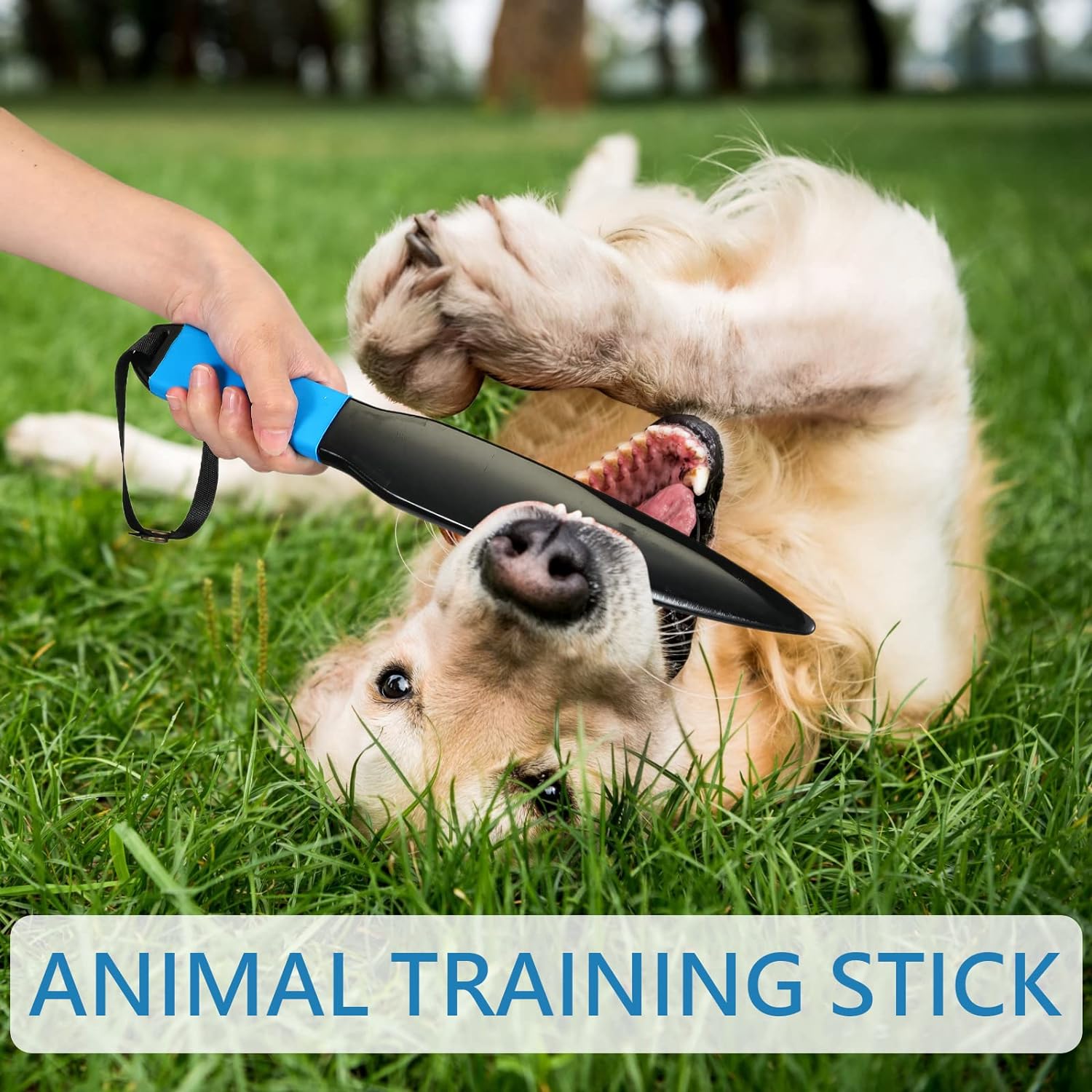 KFX-7130429 Dog Training Break Stick for Small and Medium Dogs - Safe Chew Toy for Mouth Opening and Interactive Play