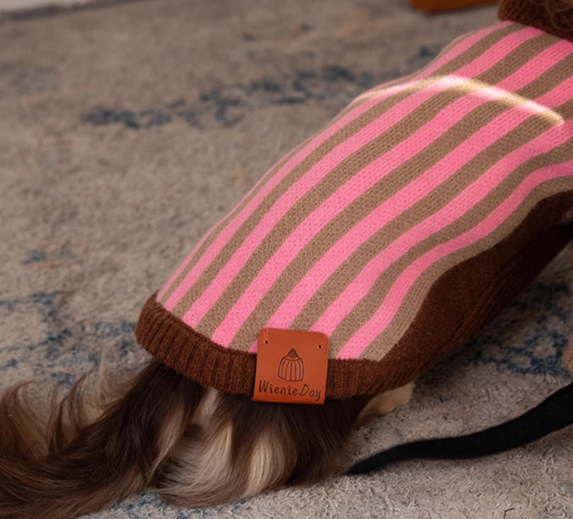 KFX-7131709 Sleeveless Winter Sweater Vest for Dogs in Pink and Lake Blue Stripes