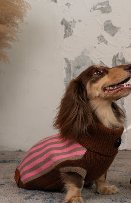 KFX-7131709 Sleeveless Winter Sweater Vest for Dogs in Pink and Lake Blue Stripes