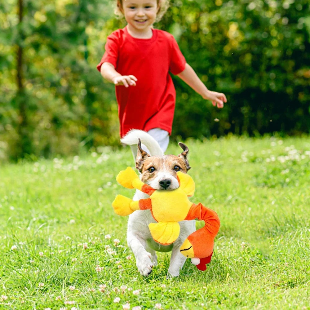 KFX-7136189 Interactive Squeaky Chicken Dog Toy for Chewing and Playtime Activities