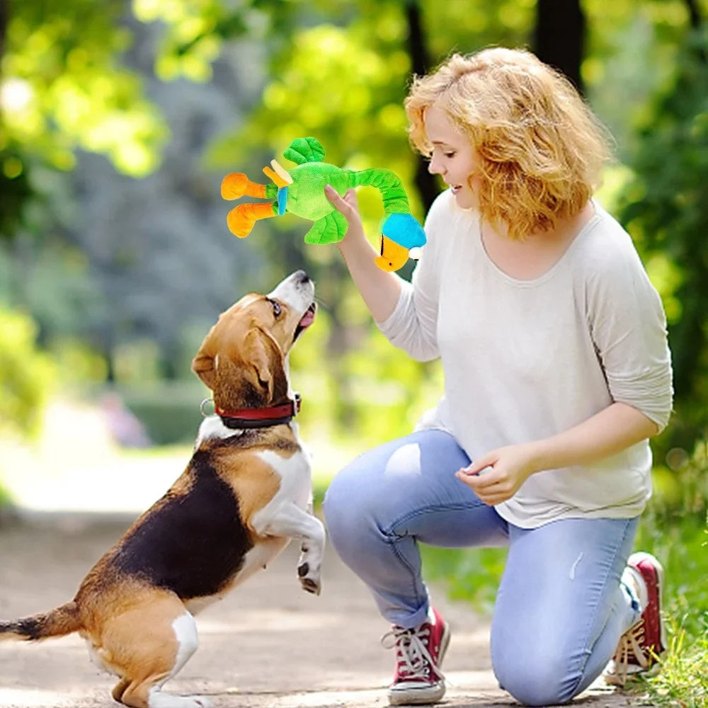 KFX-7136189 Interactive Squeaky Chicken Dog Toy for Chewing and Playtime Activities