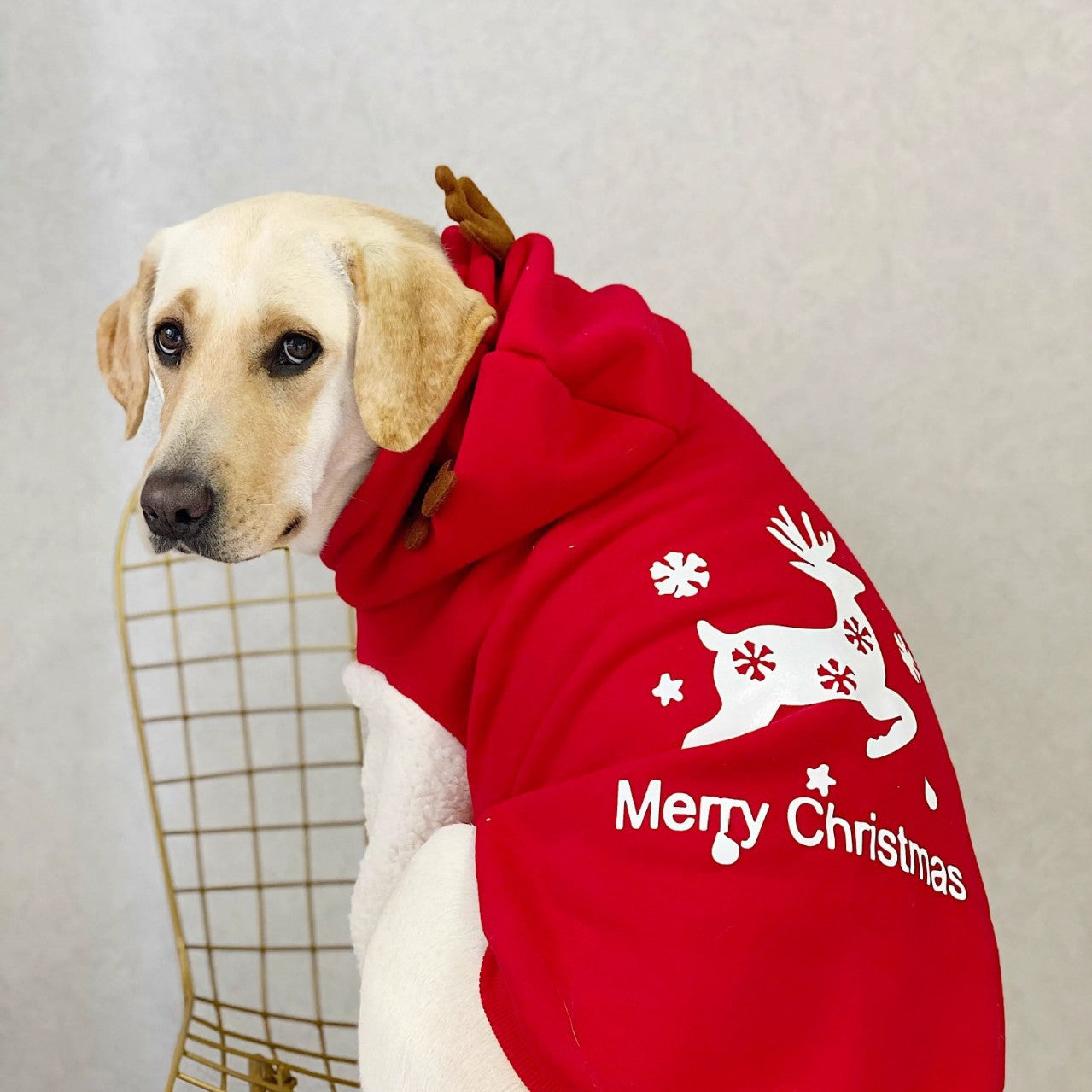KFX-7137469 Christmas Deer Hooded Fleece Pet Sweatshirt for Dogs and Cats, Sizes XS to XXL